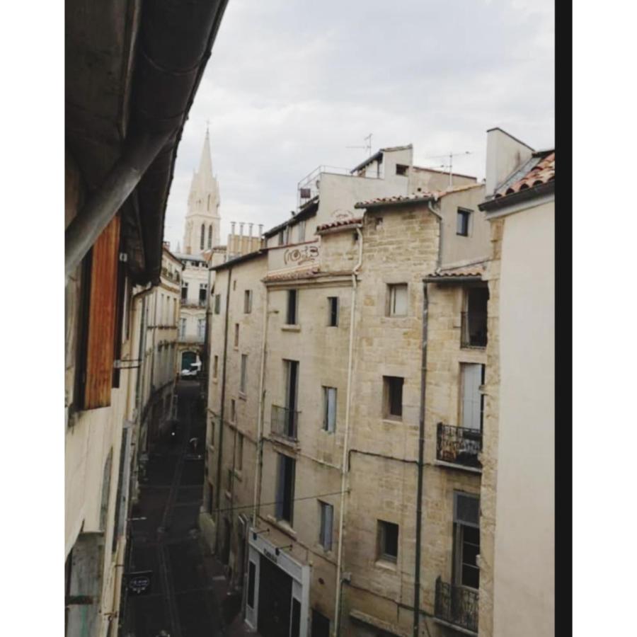 Appartement Cosy Au Coeur De Montpellier Exterior photo